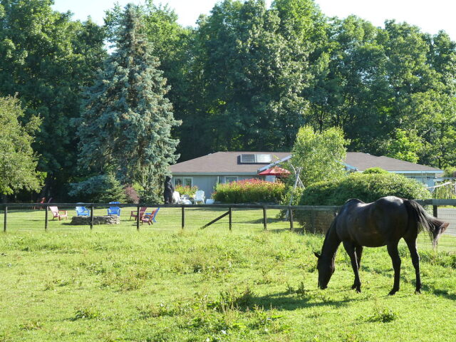 Whistlewood Farm Bed And Breakfast