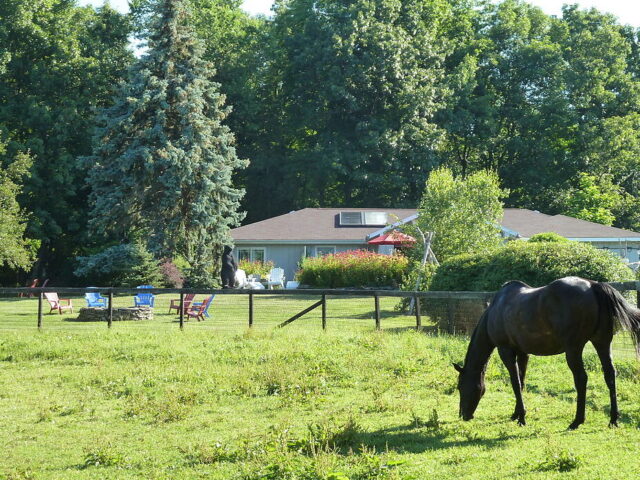 Whistlewood Farm Bed And Breakfast