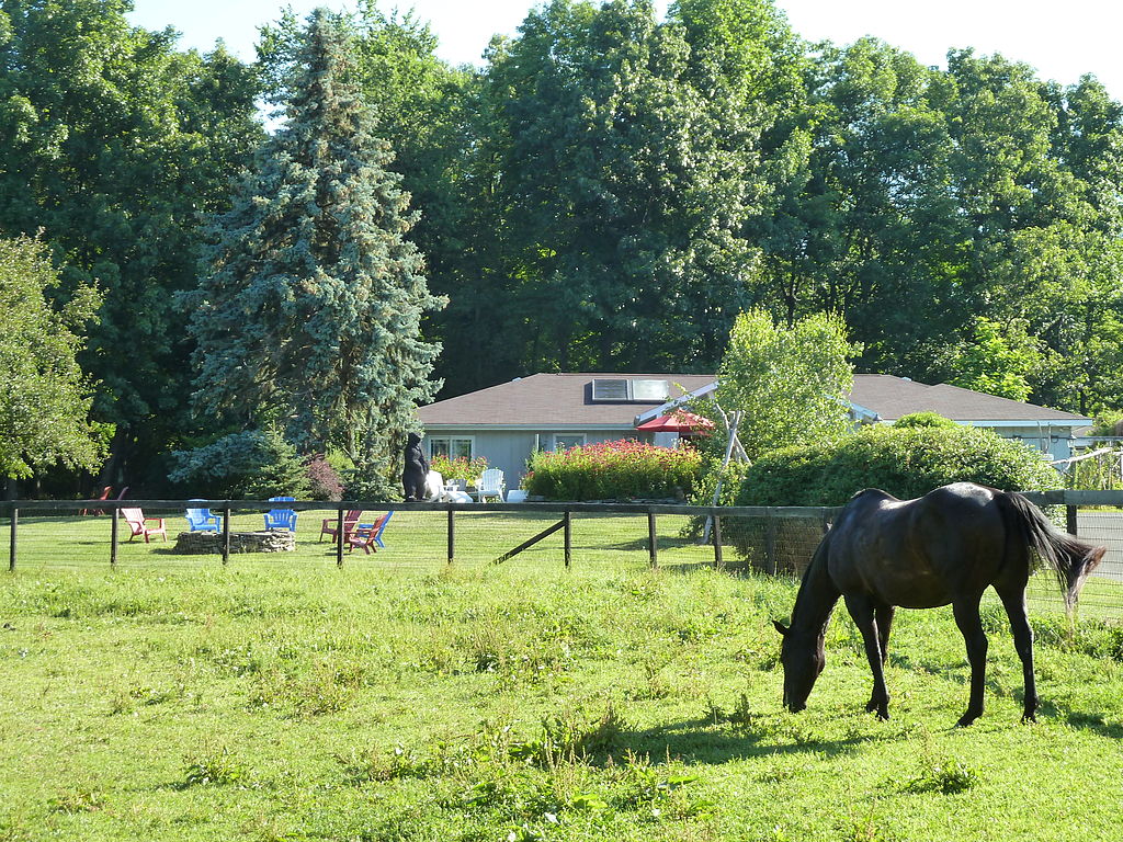 Whistlewood Farm Bed And Breakfast