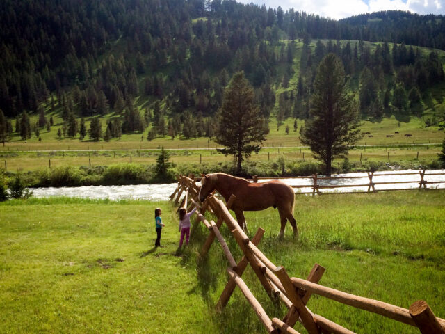320 Guest Ranch