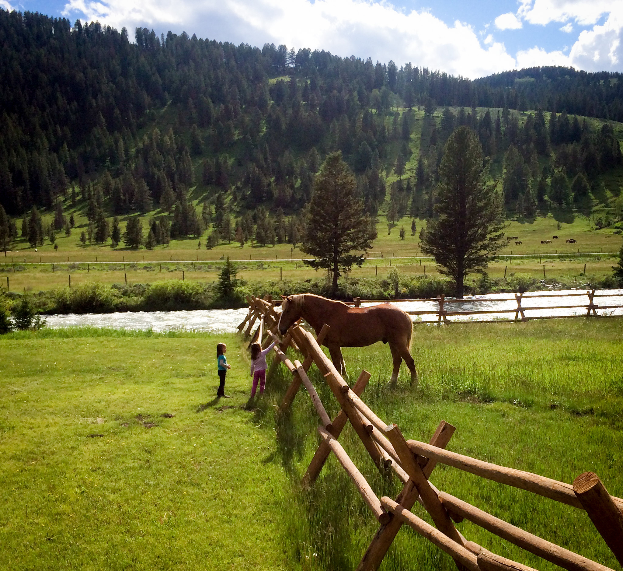 320 Guest Ranch