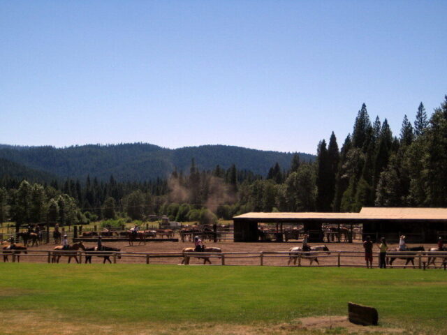 Green Horn Ranch