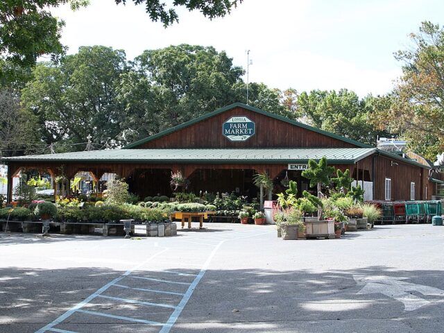 Linvilla Orchards
