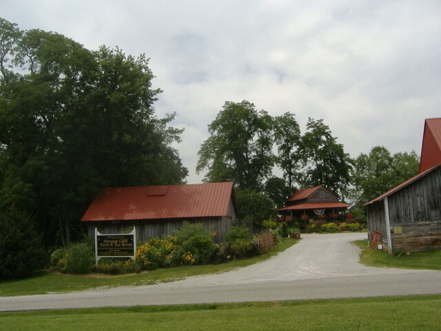 Stream Cliff Herb Farm