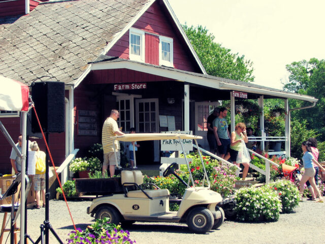 Terhune Orchard