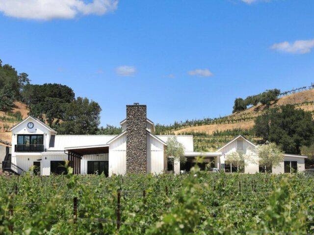 Baldacci Family Vineyards