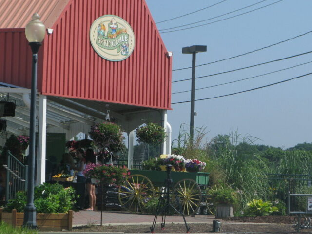 Springdale Farms