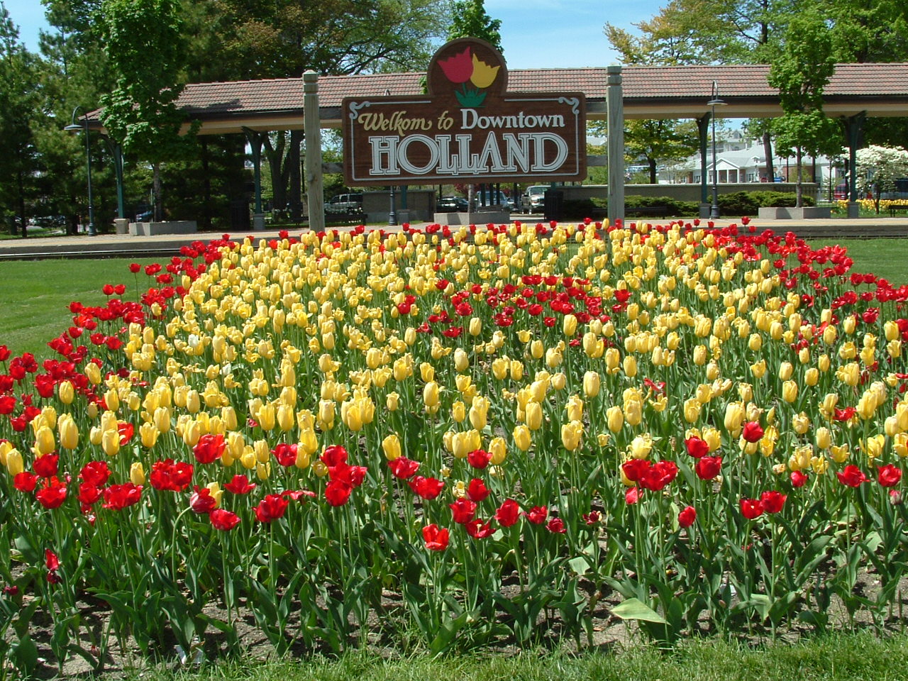 Tulip Time Festival